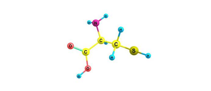 白色半胱氨酸分子结构