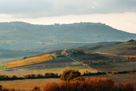 托斯卡纳乡村景观全景在一个秋天的日子, 托斯卡纳, 意大利