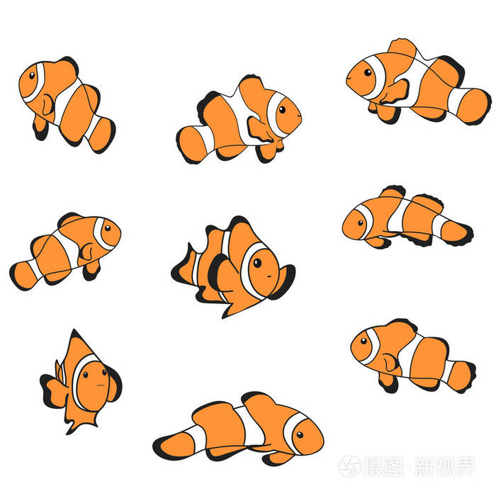 小丑鱼卡通矢量插图热带海洋生活主题. 可爱的橙色鱼和白色条.