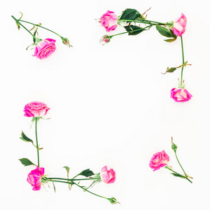 花架，粉红色玫瑰，枝叶，白色背景。 平躺顶部视图。 情人节作文