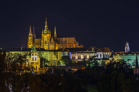 在晚上的布拉格城堡的视图