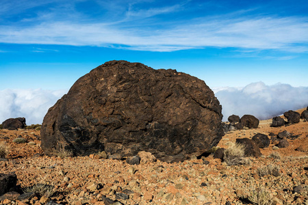  or in Spanish Huevos del Teide39