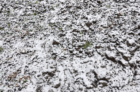 地面的纹理覆盖着一层薄薄的雪。 冬天花园的土壤。 挖出来的地面