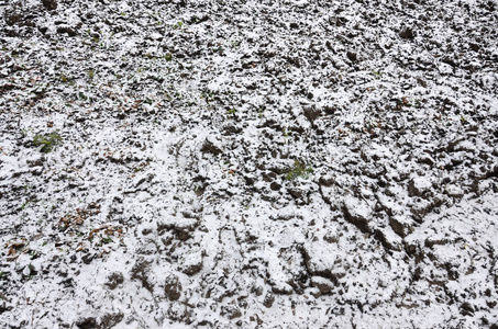 地面的纹理覆盖着一层薄薄的雪。 冬天花园的土壤。 挖出来的地面