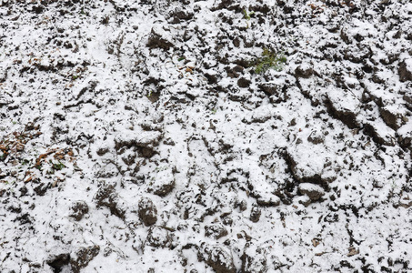 地面的纹理覆盖着一层薄薄的雪。 冬天花园的土壤。 挖出来的地面