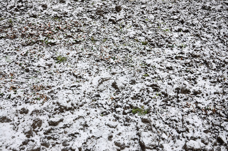 地面的纹理覆盖着一层薄薄的雪。 冬天花园的土壤。 挖出来的地面