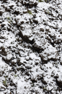 地面的纹理覆盖着一层薄薄的雪。 冬天花园的土壤。 挖出来的地面