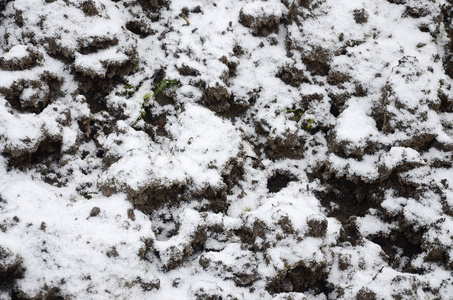 地面的纹理覆盖着一层薄薄的雪。 冬天花园的土壤。 挖出来的地面