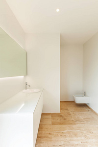 漂亮的现代浴室水槽景观