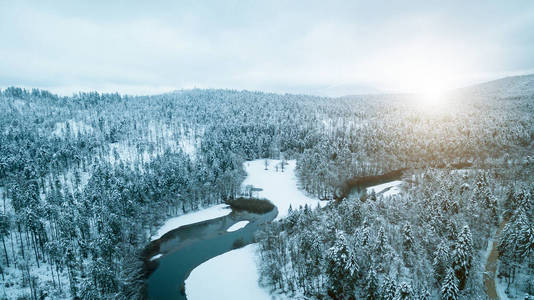 鸟瞰冬季冰雪覆盖的森林景观。无人机摄影收藏
