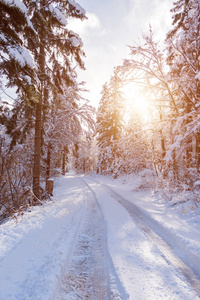 冰雪覆盖的冬季森林道路