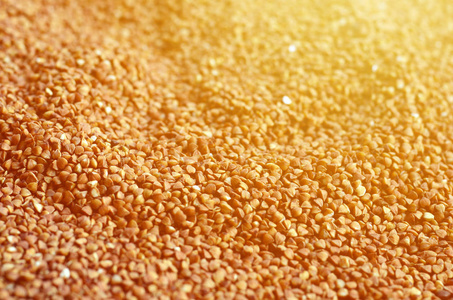 一大堆荞麦的背景纹理。 许多荞麦颗粒在白天接近