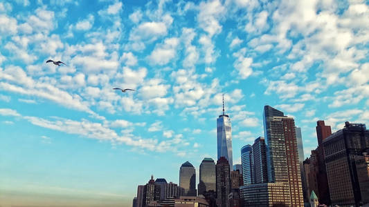 纽约曼哈顿地平线海鸥日落或日出