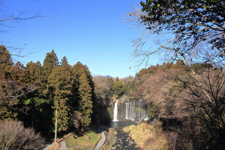 白瀑布在日本静冈