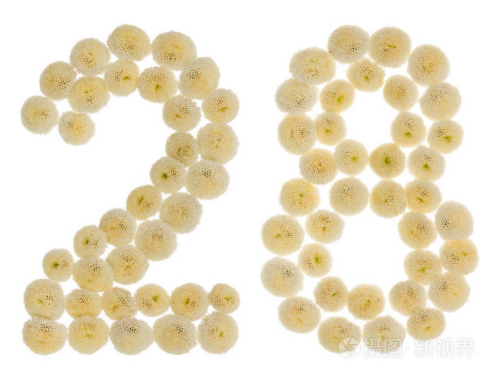 阿拉伯数字 28, 二十八, 从奶油花的 chrysanth