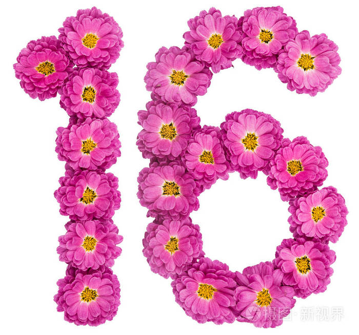 阿拉伯数字 16, 十六, 从菊花的花, isola