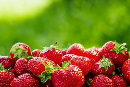 很多草莓在绿色背景下，一季草莓。