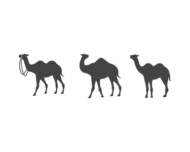 骆驼图标徽标模板设计