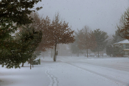 街道冬季暴风雪冬季场景的暴风雪在新泽西中部附近。