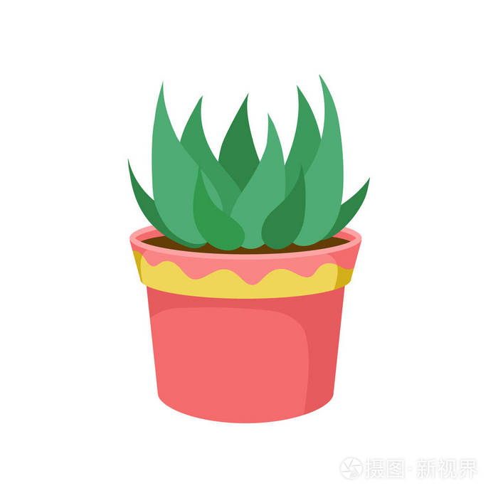 绿色家庭植物在一个花盆卡通矢量插图