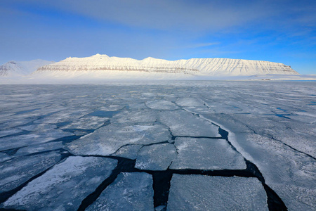 冬季北极。白色雪山，蓝色冰川斯瓦尔巴，挪威。海洋里的冰。北极的冰山黄昏。美丽的风景。夜晚的海洋与冰。晴空万里。冰之地。
