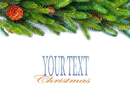 圣诞树上有锥状树枝，白色隔离，有文字空间