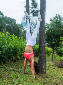 运动的年轻女子做倒立瑜伽运动倚在树在公园在夏天。职业女性运动员体位日站立臂
