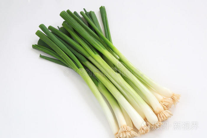 大葱
