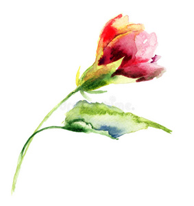 风格化花卉水彩插图