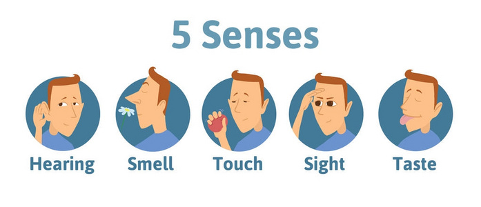 一套五人的感官图标 听觉嗅觉触觉视觉味觉。图标与滑稽的人字符在圈子。孩子的矢量插图, 隔离在白色