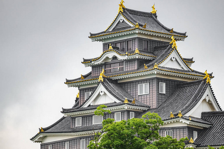 冈山城堡正面反对白色天空, 特写