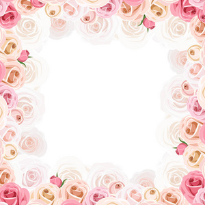 带有粉红色和白色玫瑰的矢量框架。