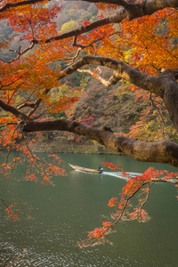 秋天在京都的阿拉山小镇