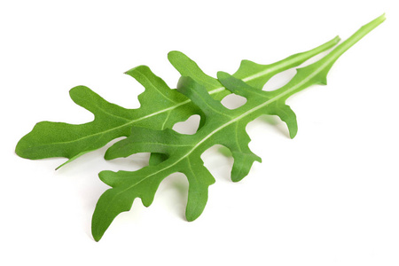 绿色新鲜 rucola 或芝麻菜叶在白色背景宏上隔离