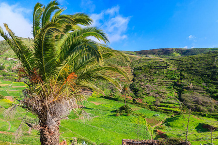 西班牙普拉亚·布兰卡-12月14日: 西班牙加那