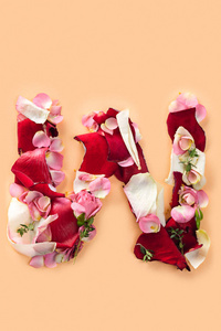 字母 w 由红玫瑰和孤立的白色背景上的花瓣