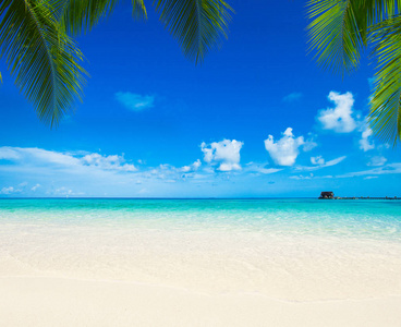 马尔代夫自然景观中的热带海滩
