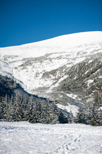 美丽的冬山。 雪纳天龙自然公园