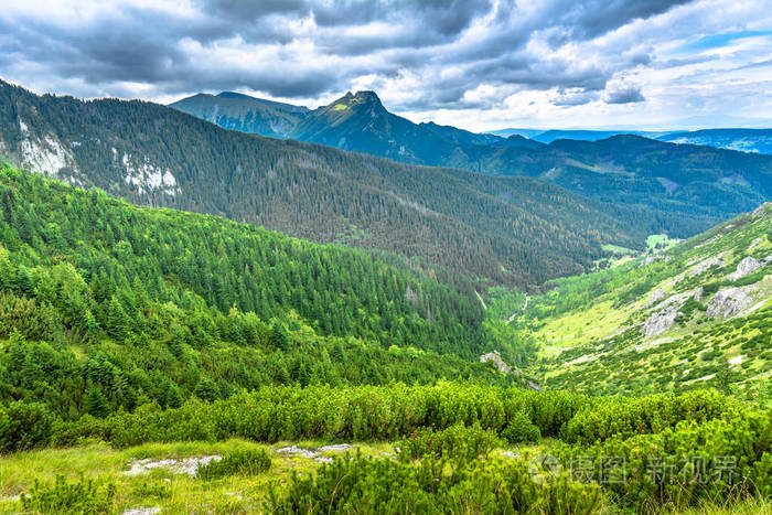 绿色的森林和山脉全景山顶在天空中