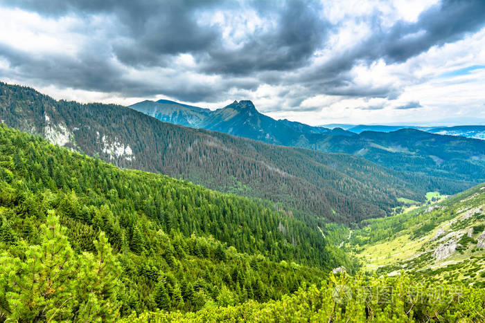 绿色的森林和山脉全景山顶在天空中