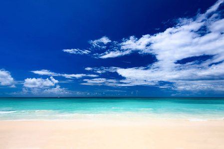 天堂海滩美丽的白沙与棕榈树在度假村