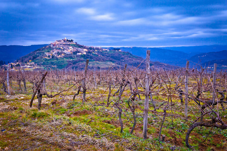 Motovun 在风景如画的山景城