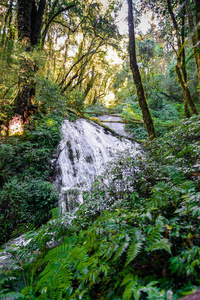 塔尔萨迪特瀑布在KewMaepan自然小径徒步旅行小径，通过丛林景观的深热带雨林。 泰国清迈公园KewMae PanDoi旅游背