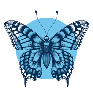纹身蝴蝶在蓝色的圆圈为你的前臂。不朽和蜕变的象征。波西米亚风格