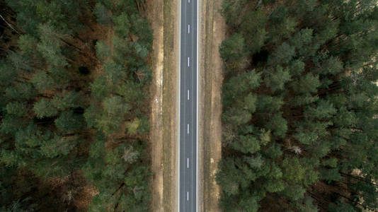 从一只鸟瞰图看沥青路和秋天森林。自然航空摄影