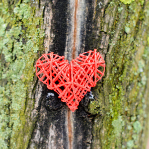s Day. Heart on a wooden background