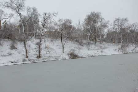 白狗在雪地上玩耍，有趣的狗狗冬天童话