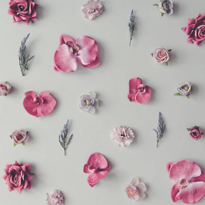 由紫罗兰和粉红色的花朵制成的创意图案。平躺。迷你