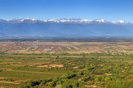 Alazani 山谷, Kakheti, 佐治亚州