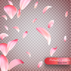 粉红色樱花飘落的花瓣矢量背景。婚礼, 情人节或妇女节粉红色的花朵在风中飞舞的背景。花瓣落在矢量透明背景上。Vecto 10 Ep